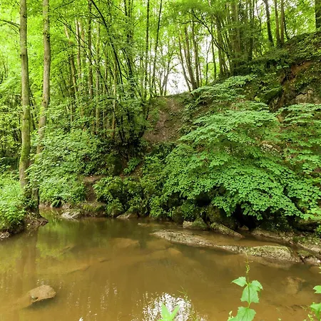 Nature Escape In Bohon Appartement *