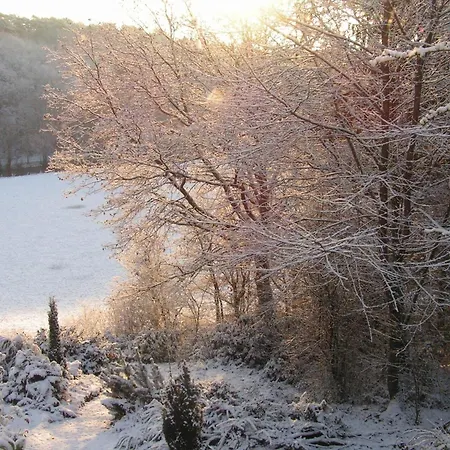 Nature Escape In Bohon